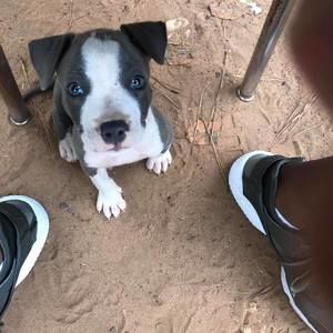 Meet your Posher, Walter